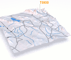 3d view of Tokio