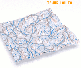 3d view of Tejupilquito