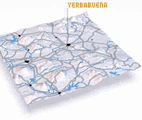 3d view of Yerbabuena