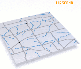 3d view of Lipscomb