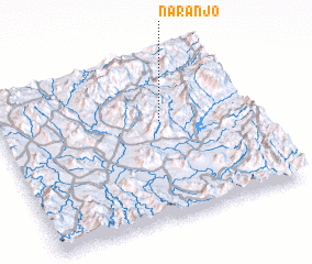 3d view of Naranjo