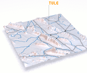 3d view of Tule