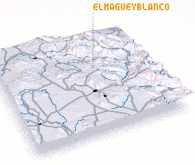 3d view of El Maguey Blanco