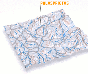 3d view of Palos Prietos