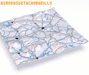 3d view of Las Moras de Tacambarillo