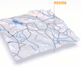 3d view of Medina