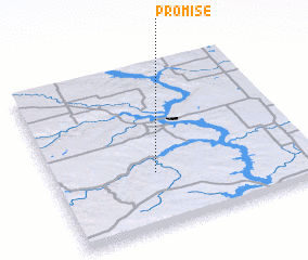 3d view of Promise