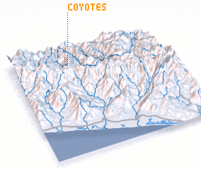 3d view of Coyotes