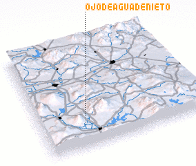 3d view of Ojo de Agua de Nieto