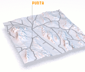 3d view of Punta