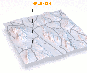 3d view of Ave María