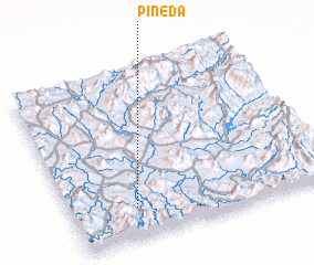 3d view of Pineda