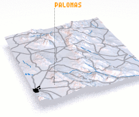 3d view of Palomas