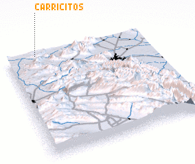 3d view of Carricitos