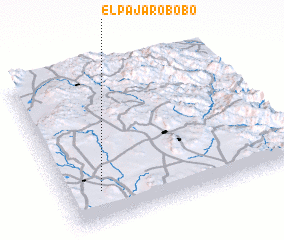 3d view of El Pájaro Bobo