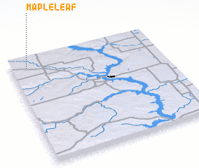 3d view of Maple Leaf