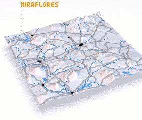 3d view of Miraflores