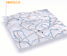 3d view of Saucillo