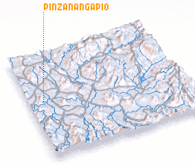 3d view of Pinzanangapio