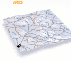 3d view of Junco