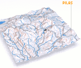 3d view of Pilas