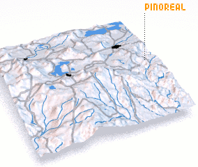 3d view of Pino Real