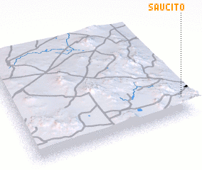 3d view of Saucito