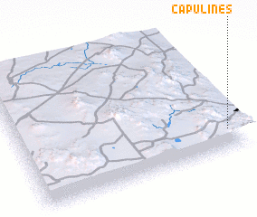 3d view of Capulines