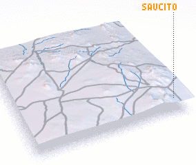 3d view of Saucito