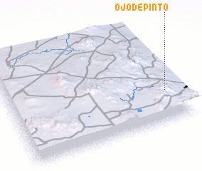 3d view of Ojo de Pinto