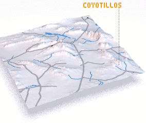 3d view of Coyotillos