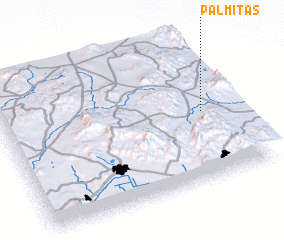 3d view of Palmitas