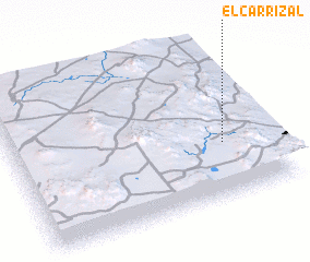 3d view of El Carrizal