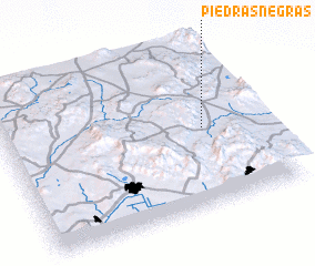 3d view of Piedras Negras