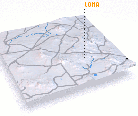 3d view of Loma