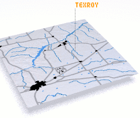 3d view of Texroy
