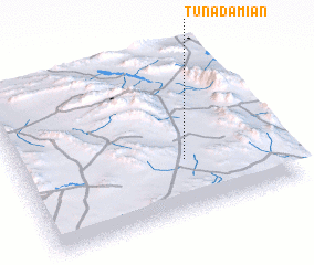 3d view of Tuna Damián