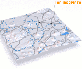 3d view of Laguna Prieta