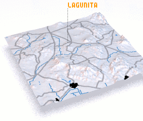 3d view of Lagunita