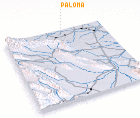 3d view of Paloma