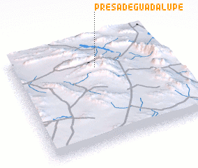 3d view of Presa de Guadalupe