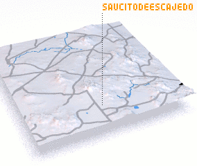 3d view of Saucito de Escajedo