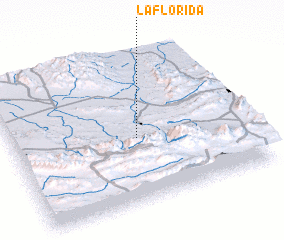 3d view of La Florida