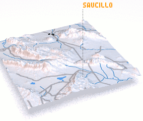 3d view of Saucillo