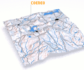 3d view of Coeneo