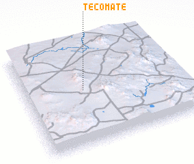 3d view of Tecomate