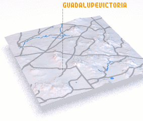 3d view of Guadalupe Victoria