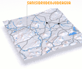 3d view of San Isidro de Ojo de Agua