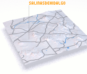 3d view of Salinas de Hidalgo