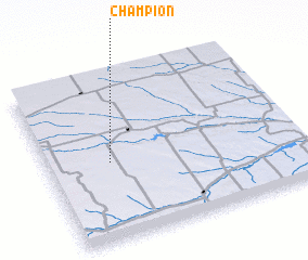 3d view of Champion